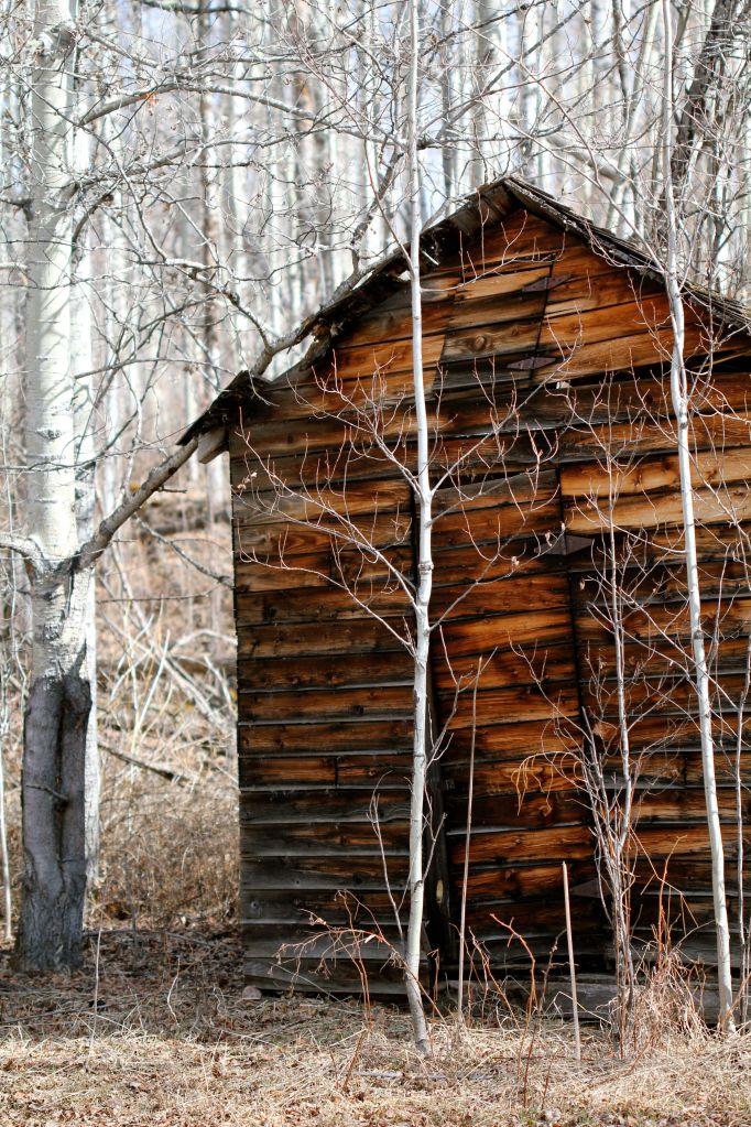 old things- shed