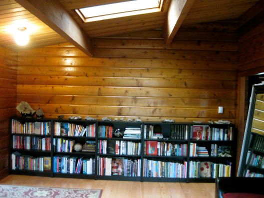 cabin living room 'before'