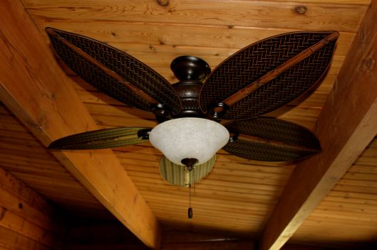 ceiling fan