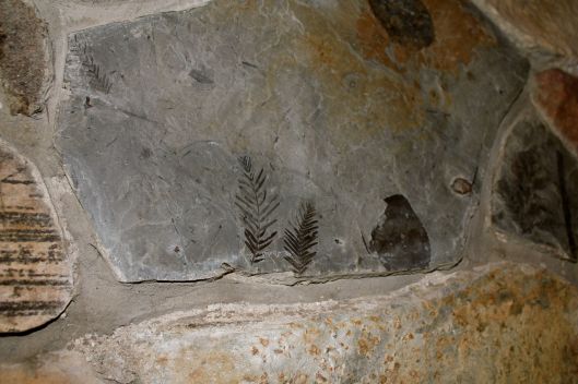 fossil in fireplace stone