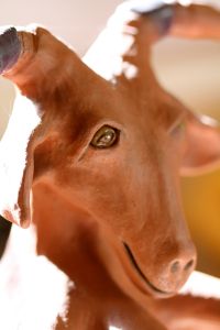 pottery goat