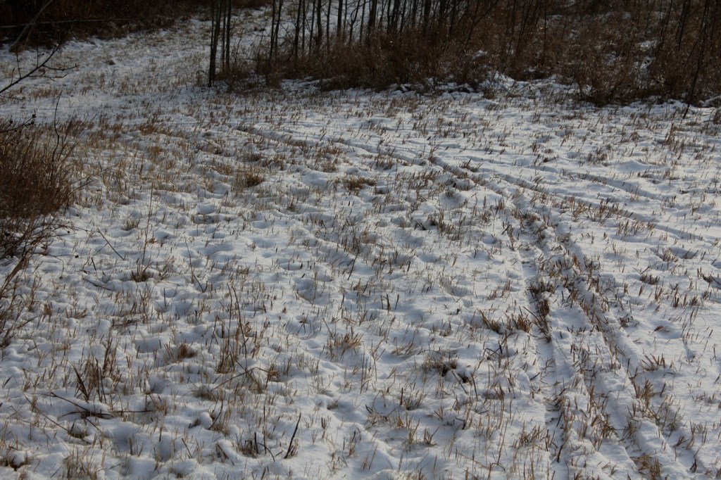 ski trail