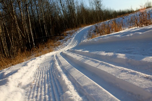 Rundle Mission ski trail