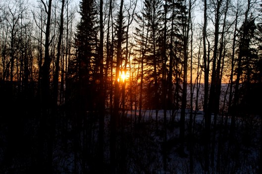 sunrise over Pigeon Lake
