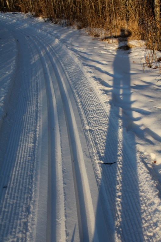 ski trail, Rundle Mission trail