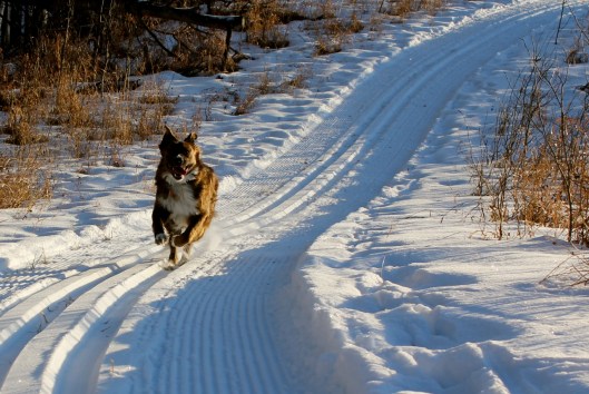 Lucy, Rundle Mission ski