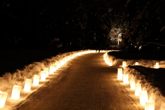 luminaria4