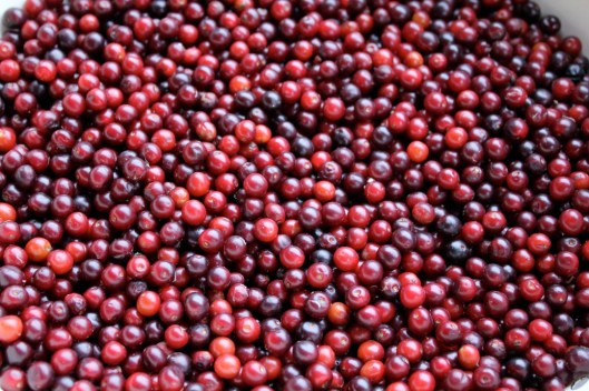 chokecherries1