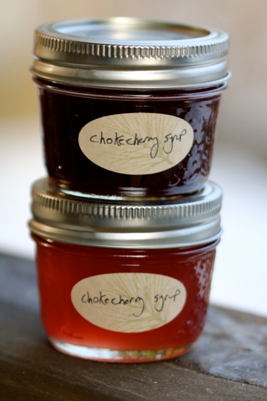 chokecherry jelly