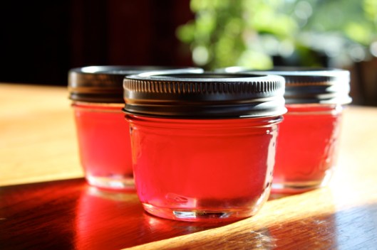 chokecherry jelly3