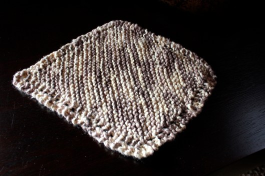 dish cloth3