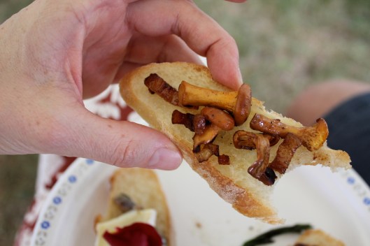 wild mushoom tasting