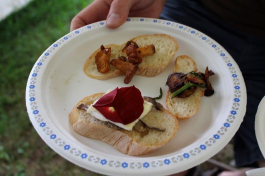wild mushroom tasting