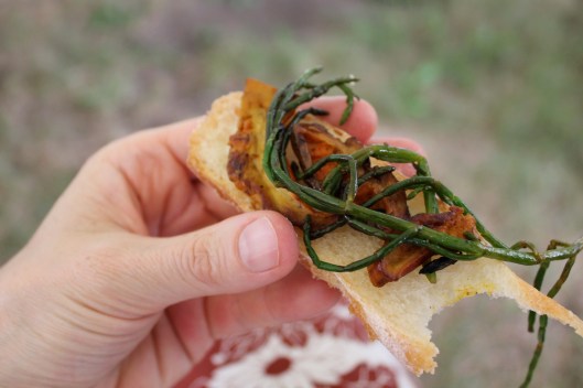 wild mushroom tasting1