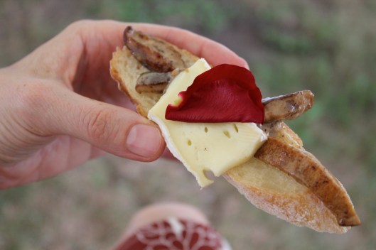 wild mushroom tasting2