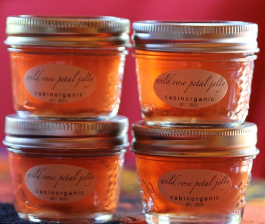 wild rose petal jelly