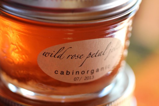 wild rose petal jelly