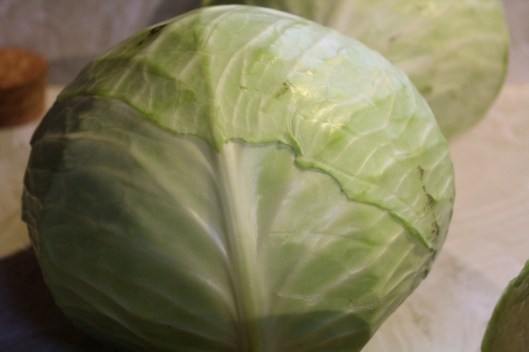 cabbage1