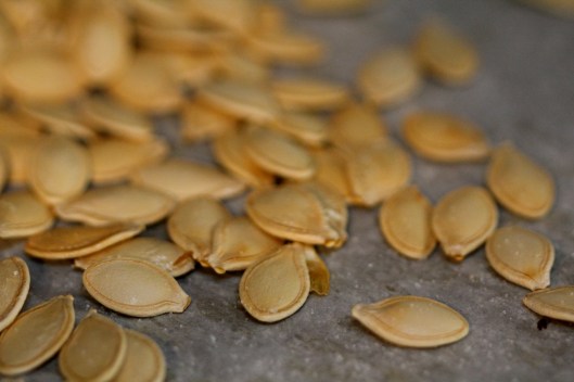pumpkin seeds