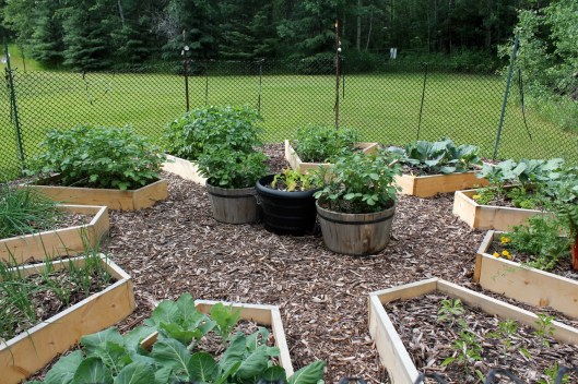 raised beds
