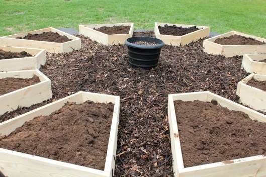 raised beds