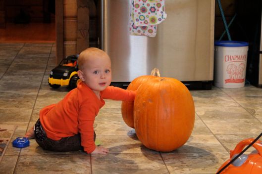 boy and pumpkin