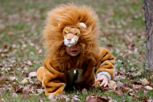 Halloween costume, lion costume